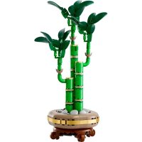 ����������� LEGO Botanicals ������ ����� 10344