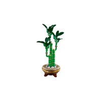 ����������� LEGO Botanicals ������ ����� 10344