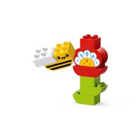 ����������� LEGO DUPLO ������� ��� � ���� 10444