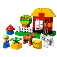 ��� ������ �����