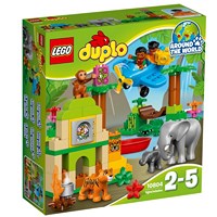 ���������� ������ �����: ���� 10804
