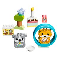 ����������� LEGO DUPLO �� ����� ������ �� ������ � ������� 10977