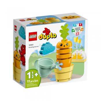 ����������� LEGO DUPLO ������ �� ������ 10981