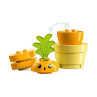 ����������� LEGO DUPLO ������ �� ������ 10981