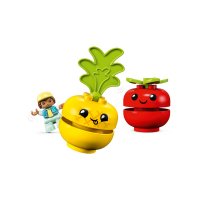 ����������� LEGO DUPLO ������� ��� ����������� ������ �� ������ 10982