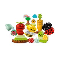 ����������� LEGO DUPLO ���������� ����� 10984