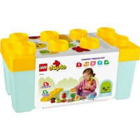 ����������� LEGO DUPLO ���������� ����� 10984