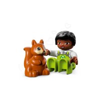 ����������� LEGO DUPLO ³����� ������ �� ������������ 10985