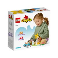 ����������� LEGO DUPLO ³����� ������ �� ������������ 10985