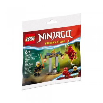 ����������� LEGO Ninjago ����� �� ���� ��� � ������� 30650