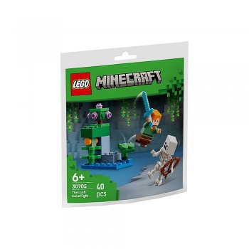 ����������� LEGO Minecraft ��� � ����� � ������ 30705