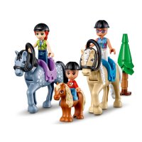 ˳����� ����� ������� ����