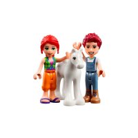 ����������� LEGO Friends ������ ��� ����� ���� 41696