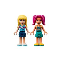 ����������� LEGO Friends �������� ���� ���� 41719