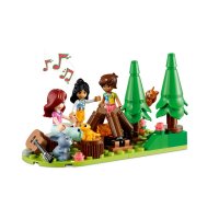 ����������� LEGO Friends ��������� �������� ��������� 41735