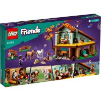 ����������� LEGO Friends ������ ���� 41745