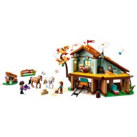 ����������� LEGO Friends ������ ���� 41745