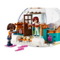 ����������� LEGO Friends ������� ������� � ���� 41760