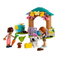 ����������� LEGO Friends ������� ��� ���� 42607
