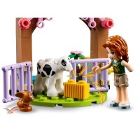 ����������� LEGO Friends ������� ��� ���� 42607