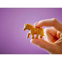 ����������� LEGO Friends ����� � ������ ���� 42654