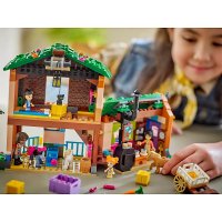 ����������� LEGO Friends ����� � ������ ���� 42654