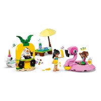 ����������� LEGO Friends ������� ��������� �� ������� ��� ������� 42658