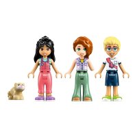 ����������� LEGO Friends ������� �� ������� ������ 42663