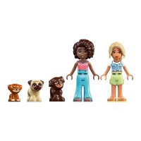 ����������� LEGO Friends ������� ��������� ��� ������� 42665