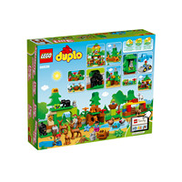 ��������������� ����� LEGO DUPLO