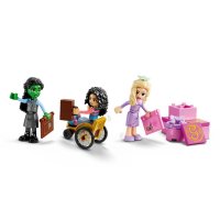 ����������� LEGO Wicked �����, ������� � �������� � ����������� ��� 75681