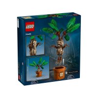 ����������� LEGO Harry Potter ����� ���������� 76433